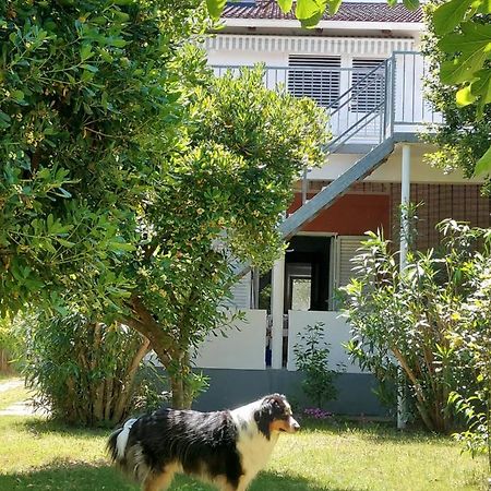 .....Und Der Hund Darf Mit Apartment Привлака Екстериор снимка
